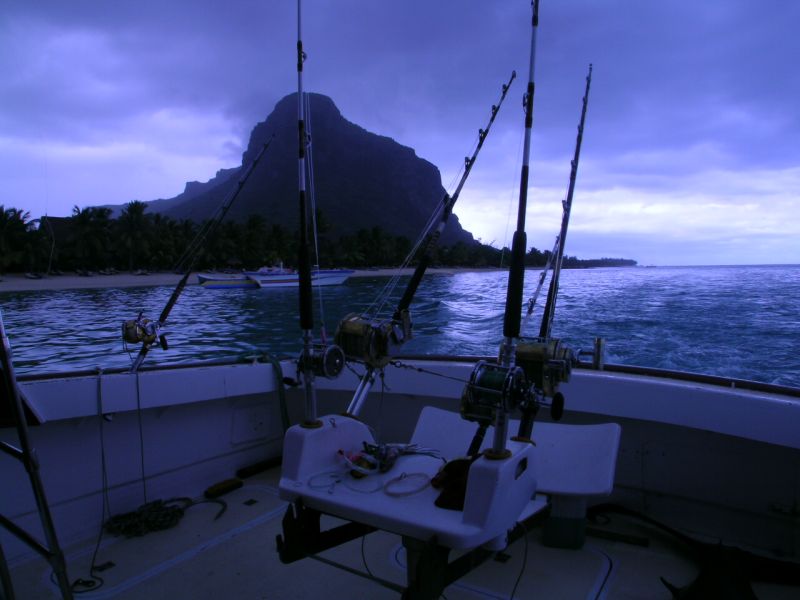 Blue Marlin - Mauritius 